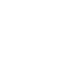 MetaQuali